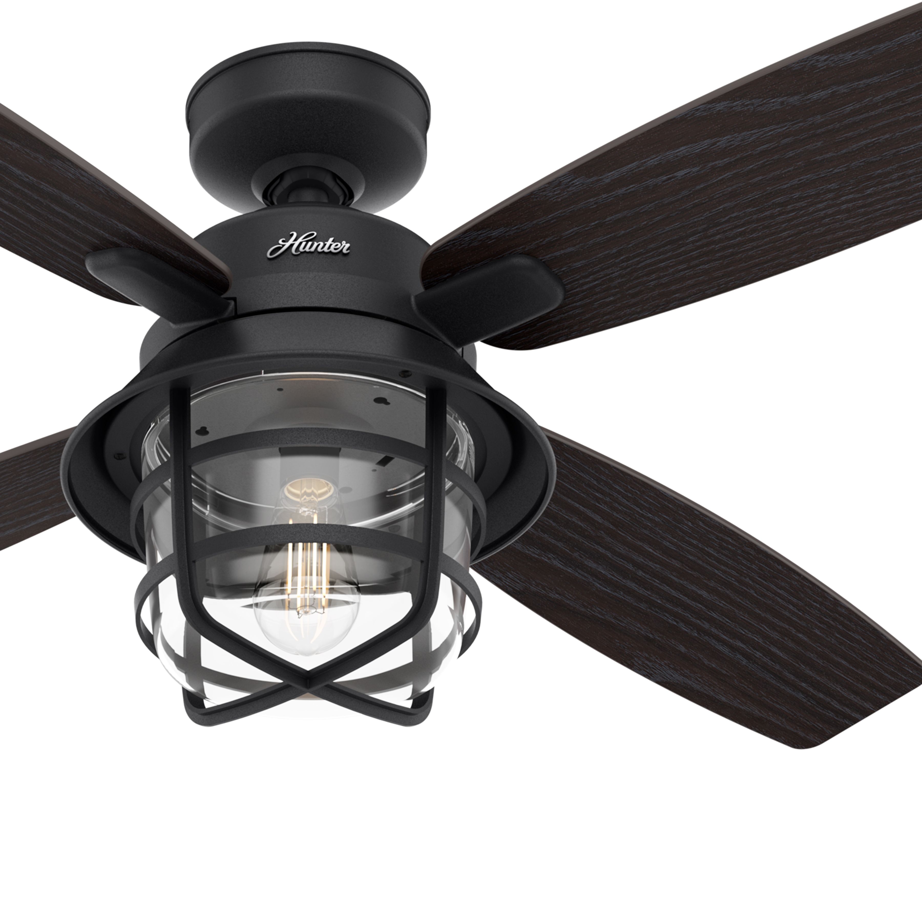 Hunter Fan 52 inch Casual Natural Iron Indoor Ceiling Fan with Light Kit and Remote Control (Renewed)