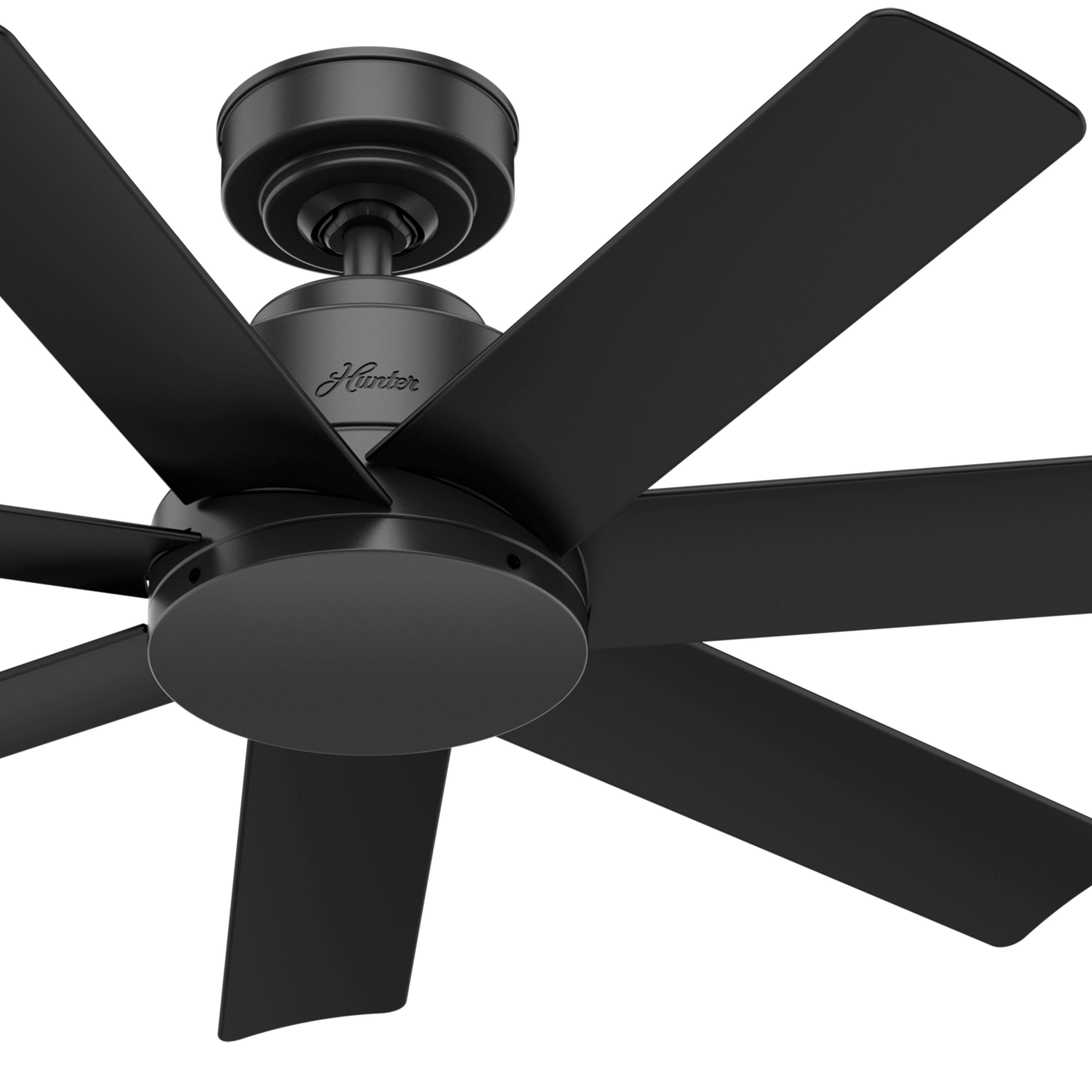 Hunter Fan 44 inch Contemporary Matte Black Indoot/Outdoor Ceiling Fan with Remote Control (Renewed)