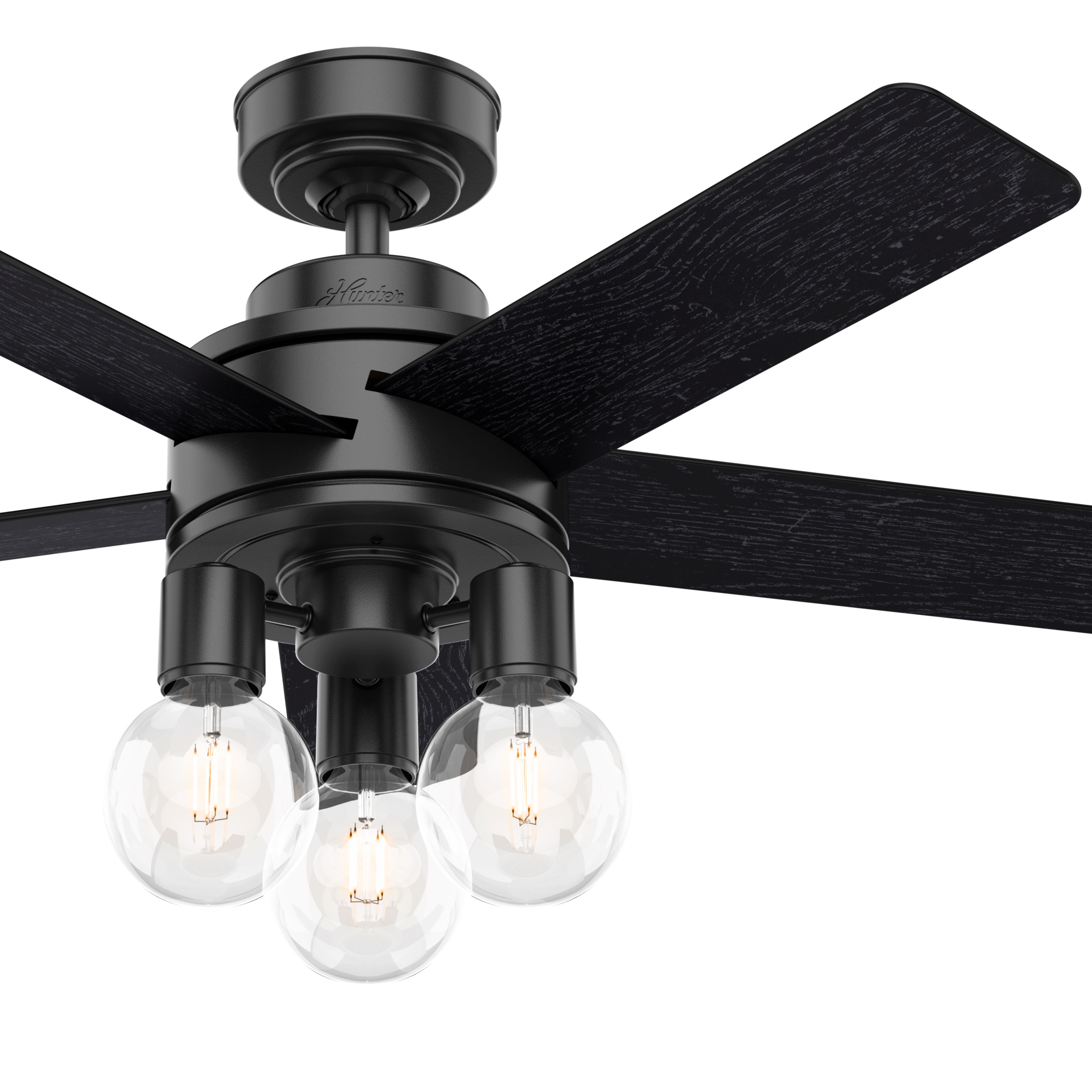 Hunter Fan 44 in. Contemporary Matte Black Indoor Ceiling Fan with Light Kit and Remote Control (Certified Refurbished)