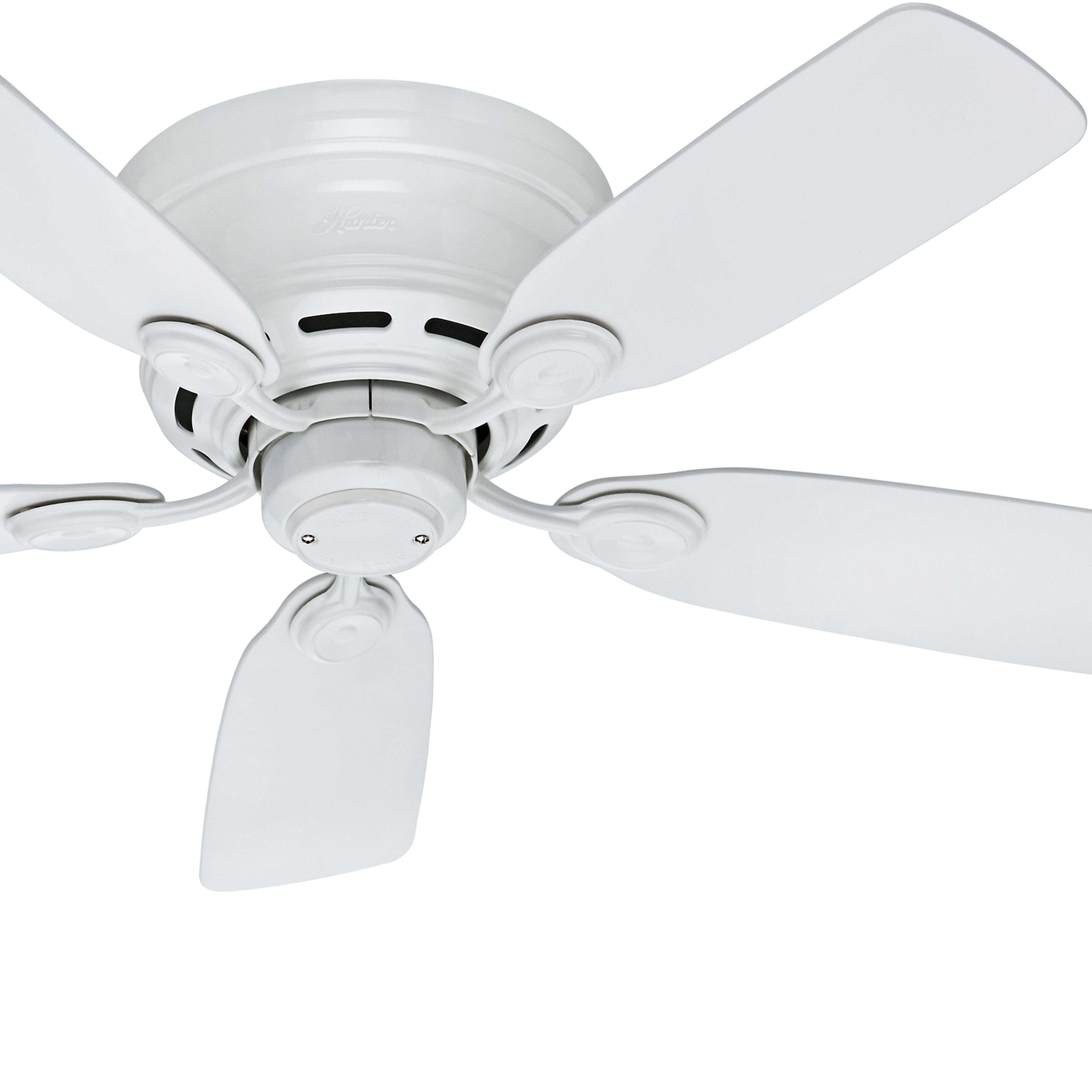 Hunter Fan 42