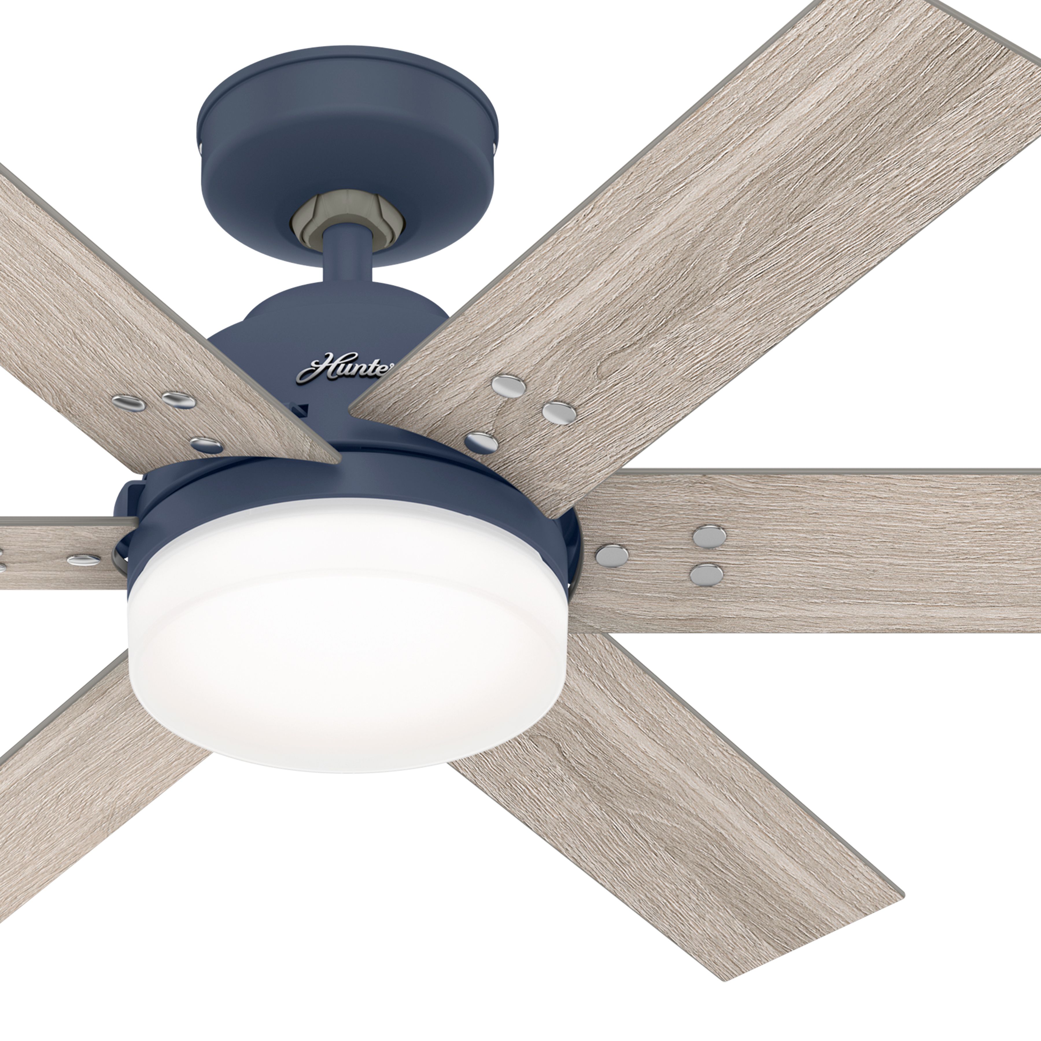 Hunter Fan 44 inch Casual Indigo Blue Indoor Ceiling Fan with Light Kit and Remote Control (Certified Refurbished)