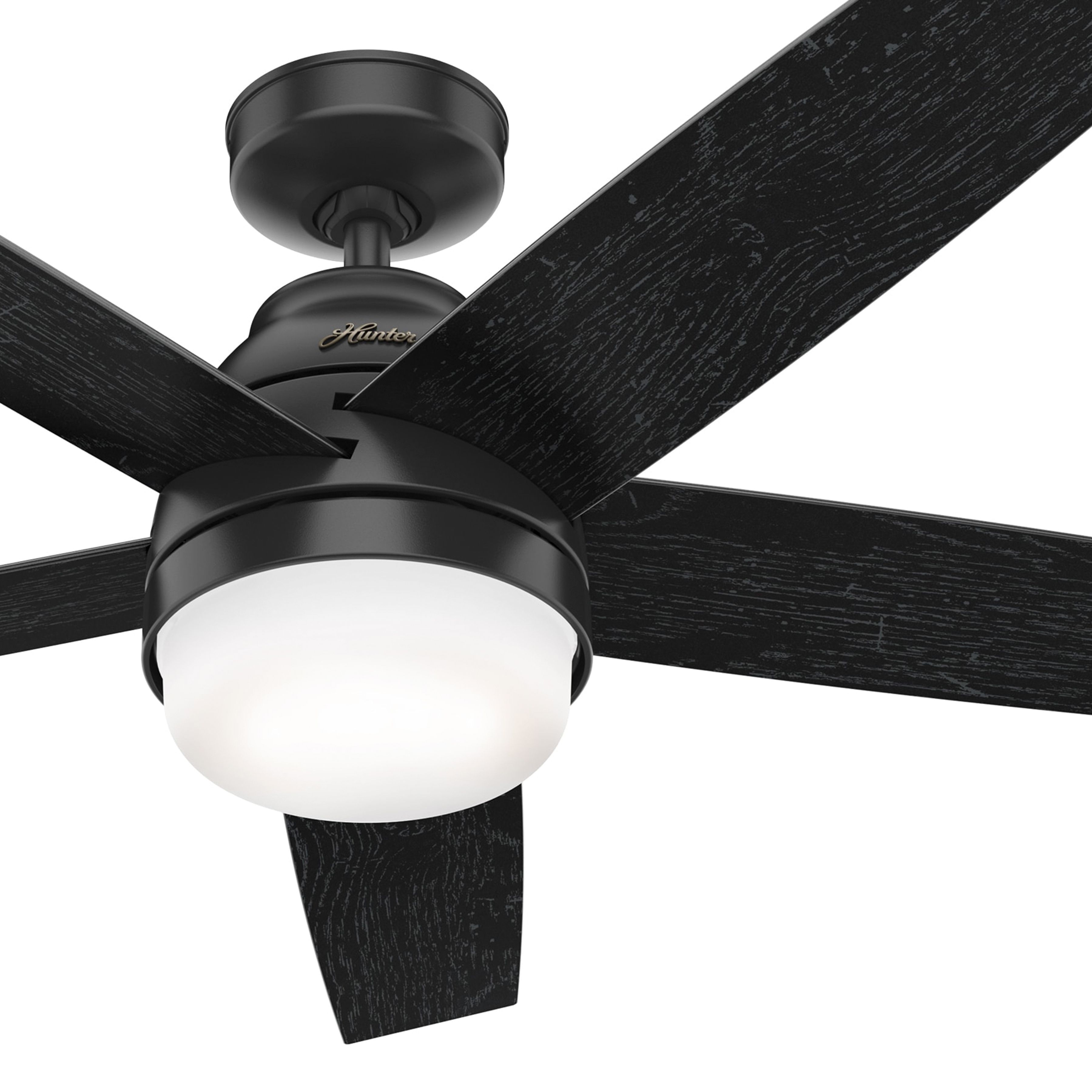 Hunter Fan 52 inch Contemporary Indoor Matte Black Ceiling Fan with Light Kit and Remote Control (Certified Refurbished)