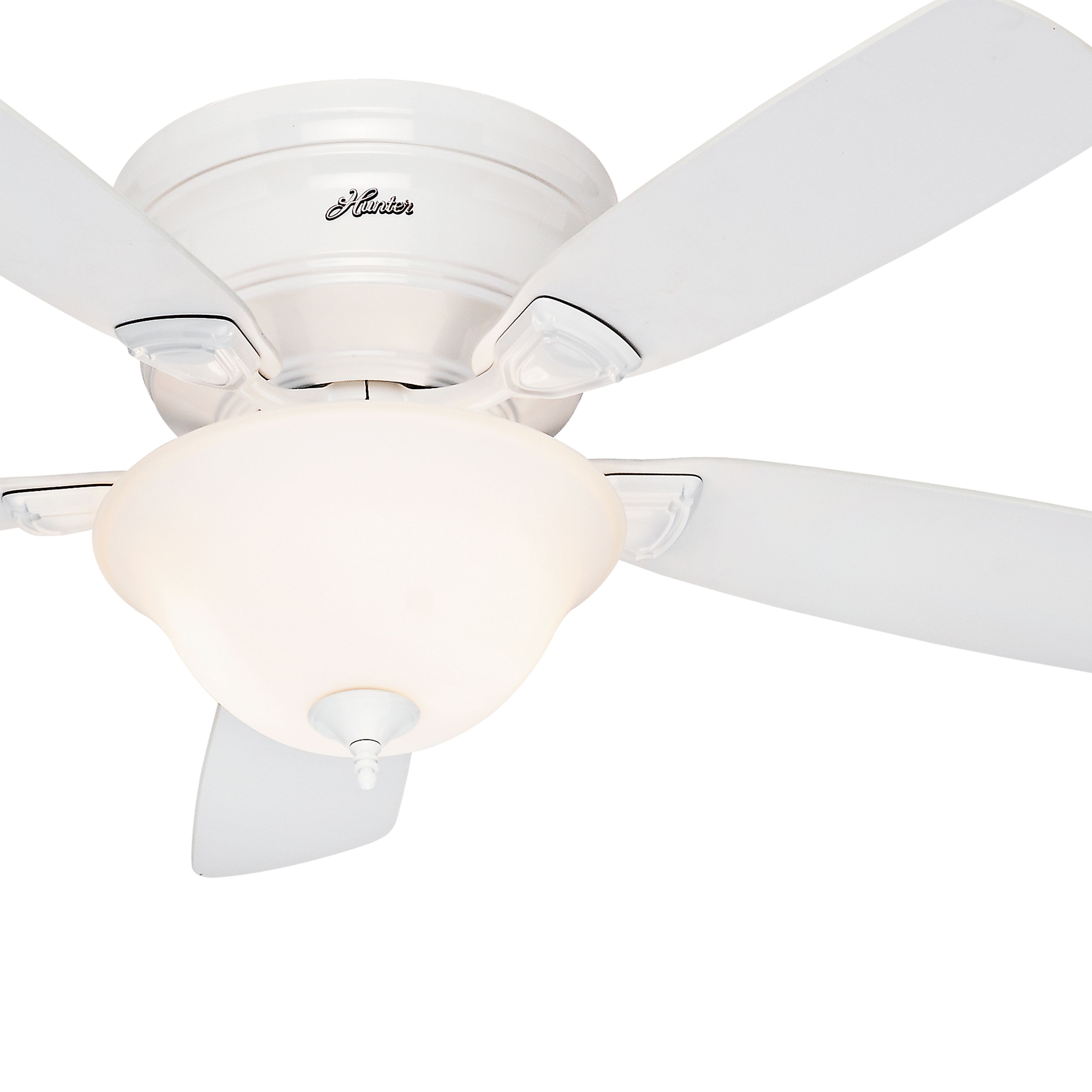 Hunter Fan 48