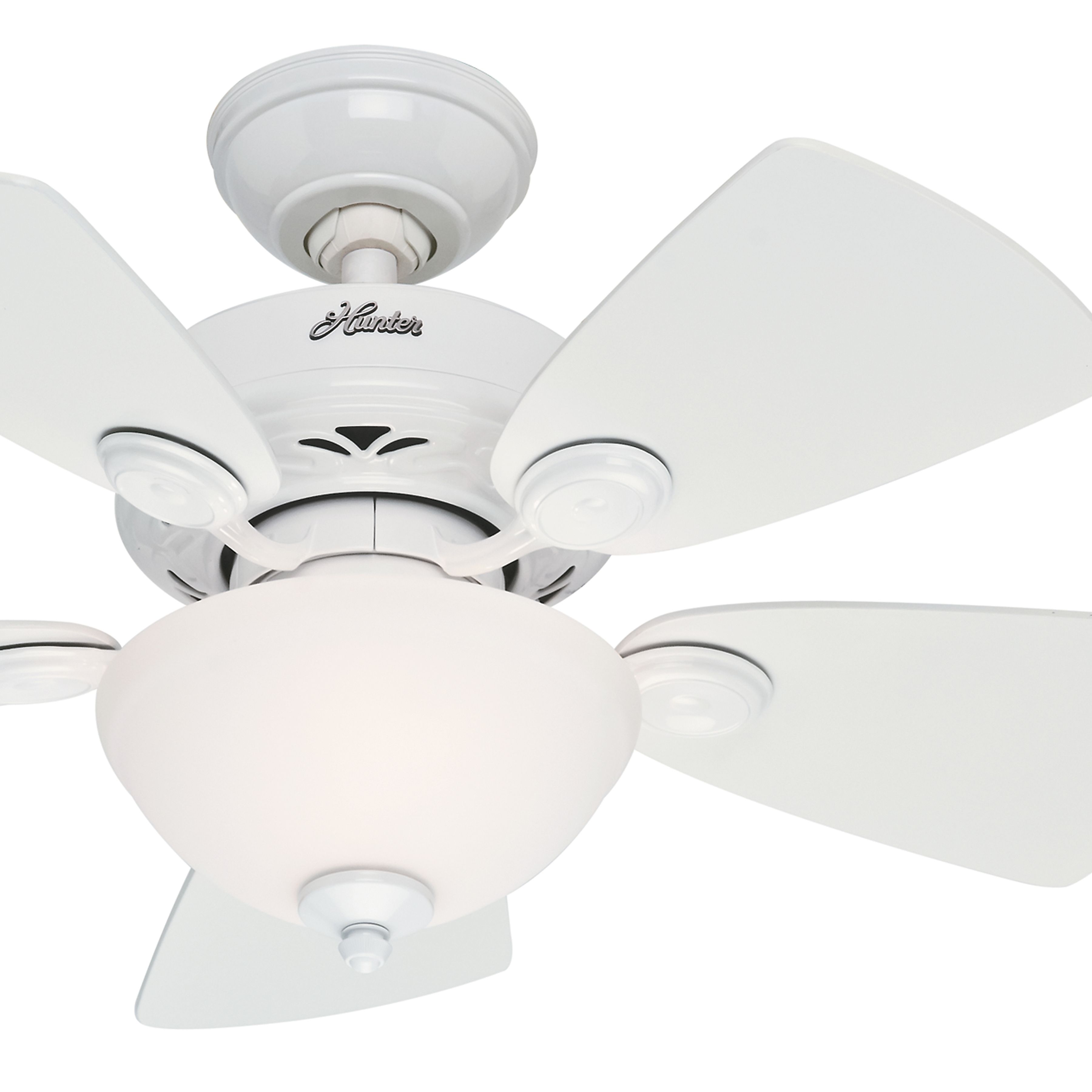 Hunter Fan 34
