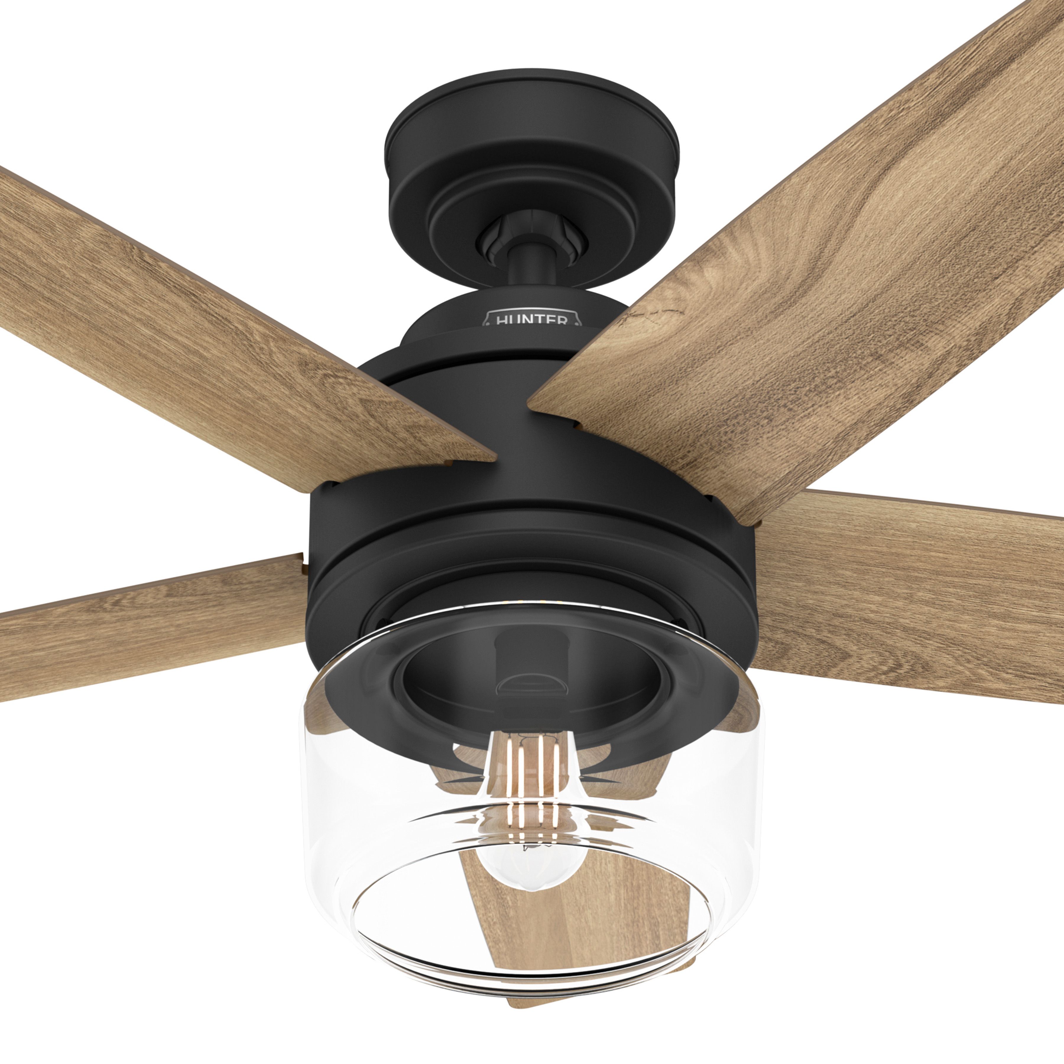 Hunter Fan 44 inch Black Indoor Ceiling Fan with Lights and Remote Control for Living Room, Bedroom, Office, Kitchen, Laundry Room (Certified Refurbished)