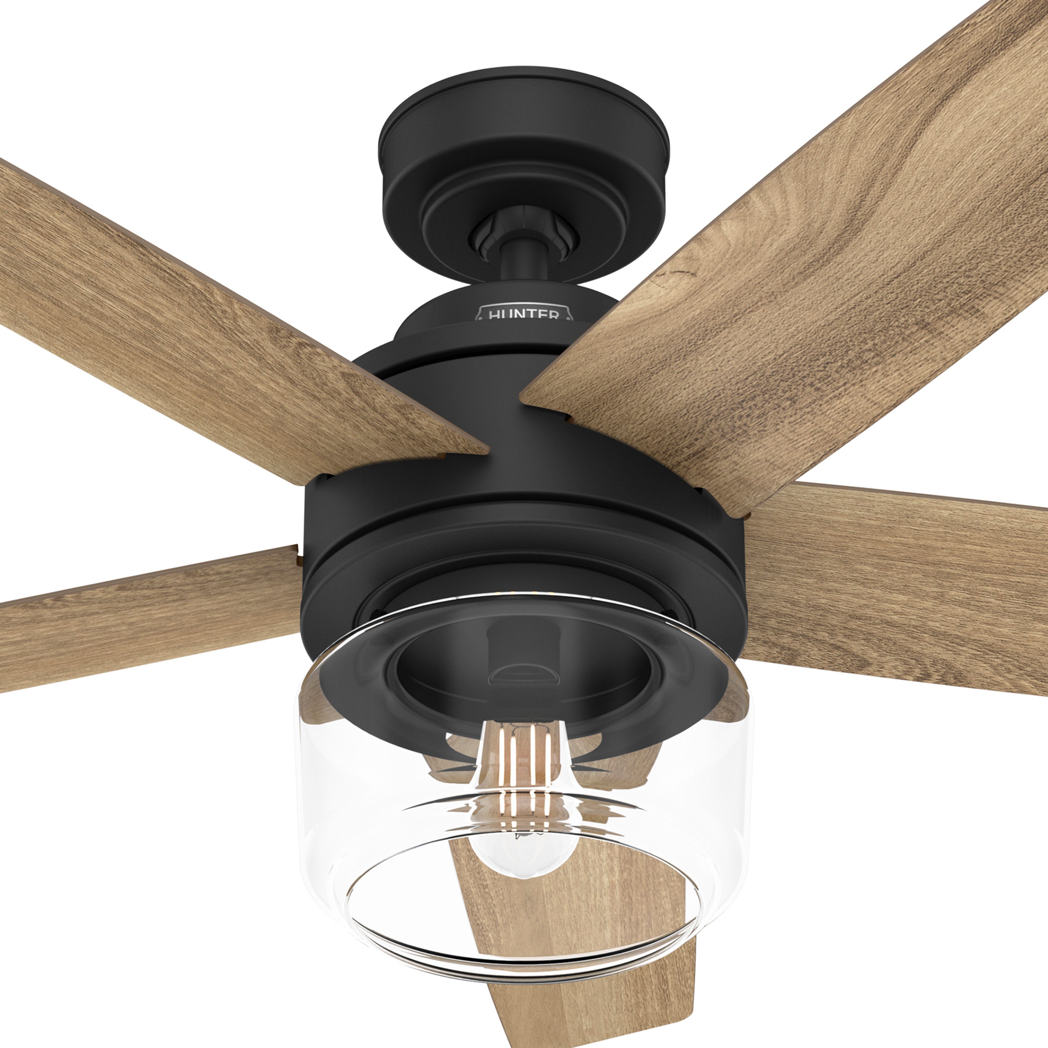 Hunter Fan 52 inch Matte Black Indoor Ceiling Fan with Lights and Remote Control for Bedroom, Living Room/Family Room, Dining Room, Kitchen, Office (Certified Refurbished)
