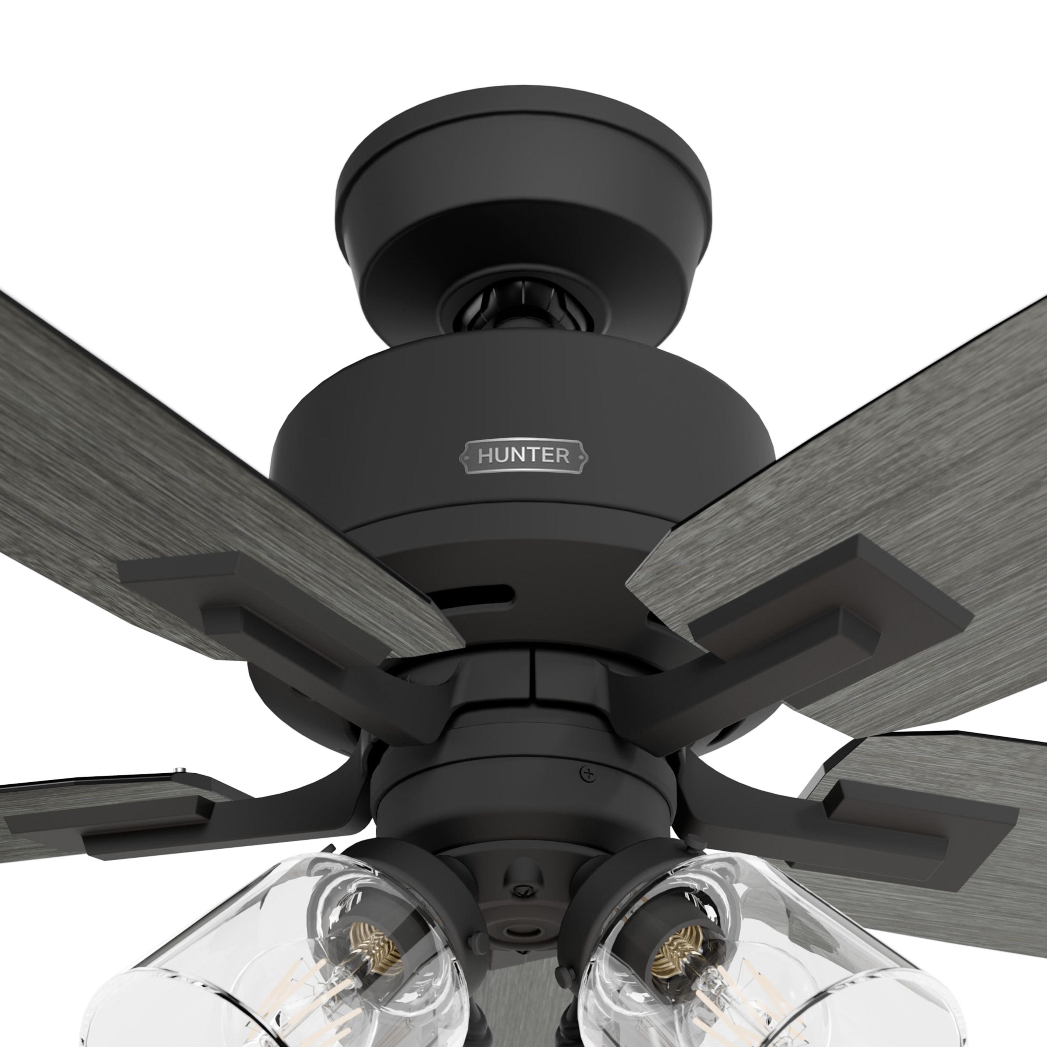 Hunter Fan 52 inch Black Indoor Ceiling Fan with Lights and Remote Control for Bedroom, Living Room/Family Room, Dining Room, Kitchen, Office (Certified Refurbished)