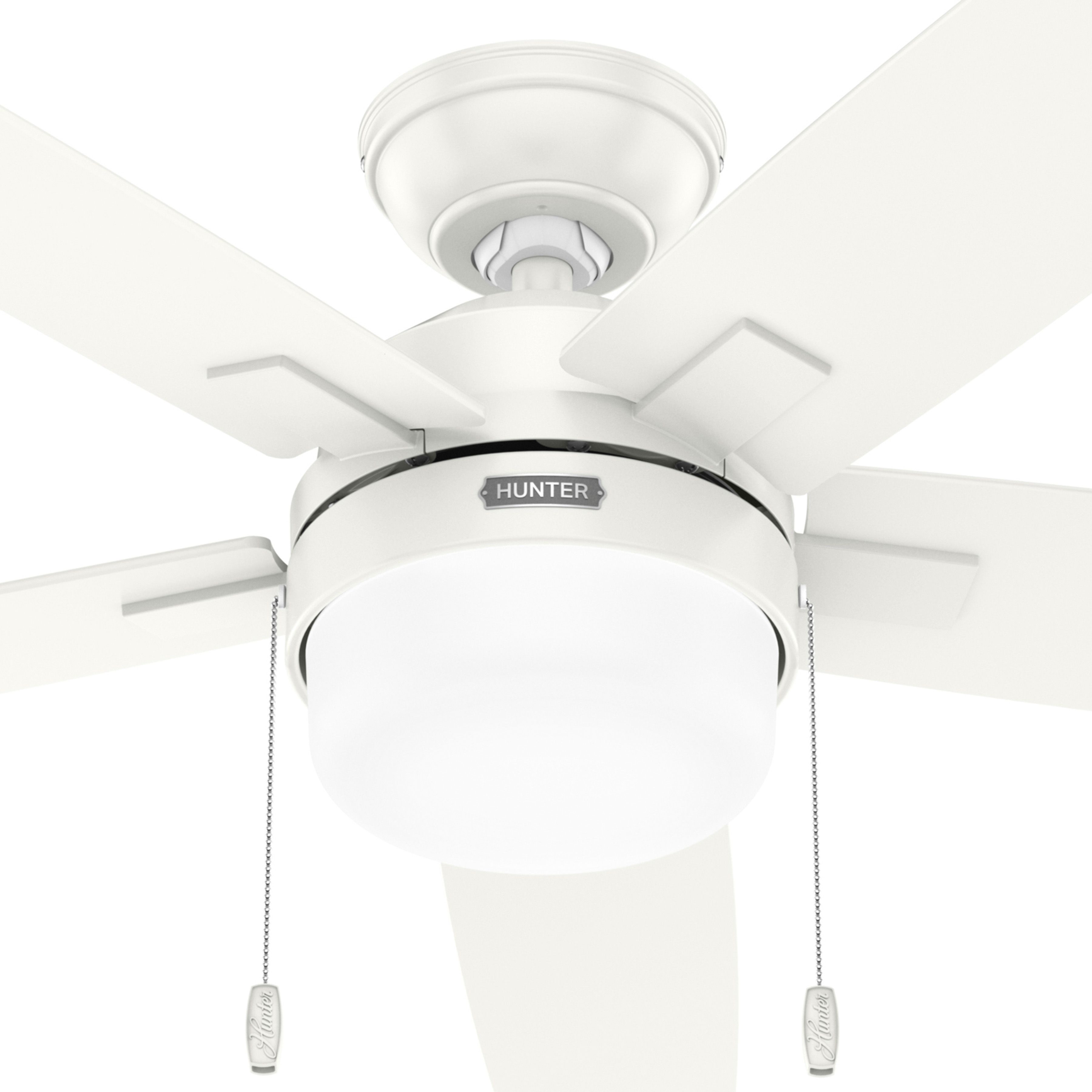Hunter Fan 52 Inch Fresh White Indoor Ceiling fan with LED Light and Pull Chain for Bedroom, Living Room, Office, Basement, Kitchen, Dining Room (Certified Refurbished)