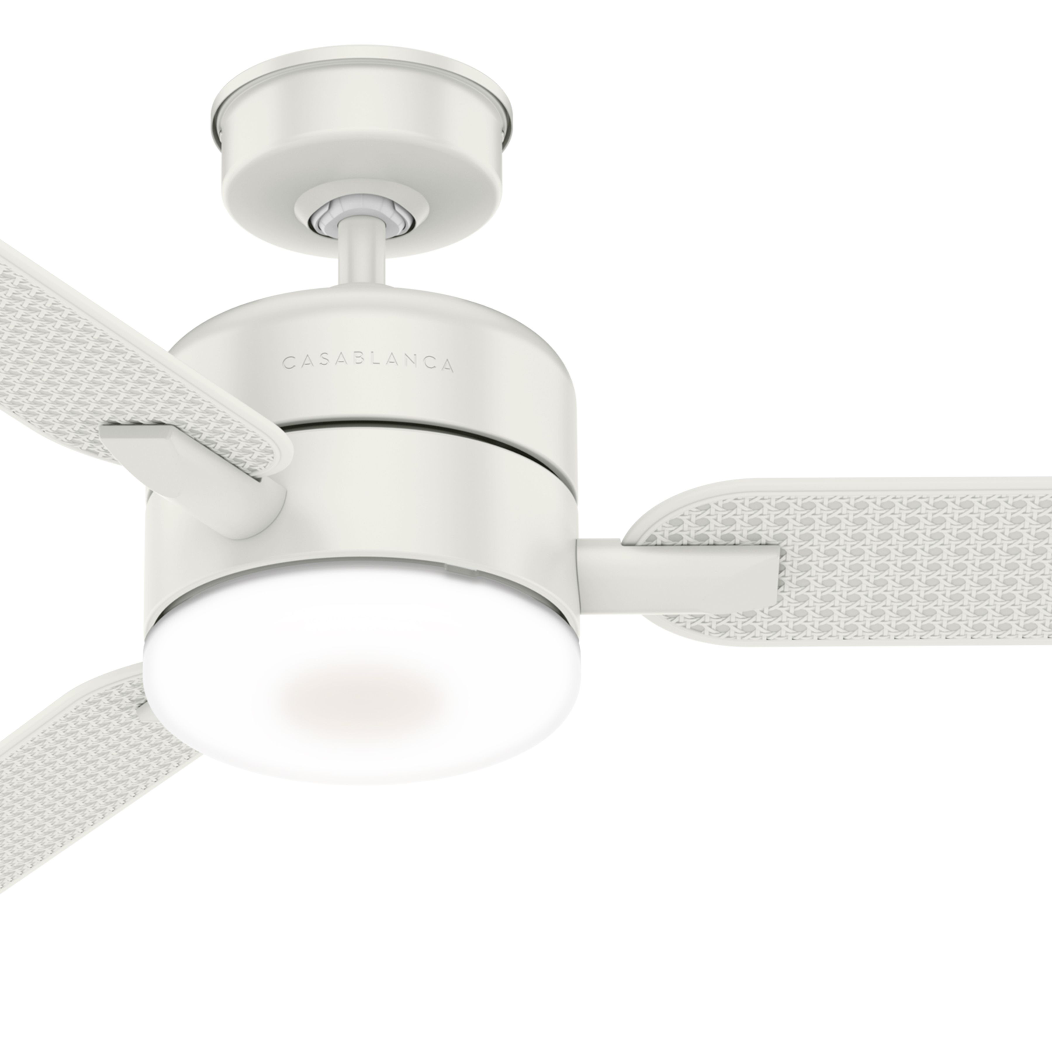 Casablanca Fan 54 inch Contemporary Fresh White Outdoor Ceiling Fan with Light Kit (Certified Refurbished)