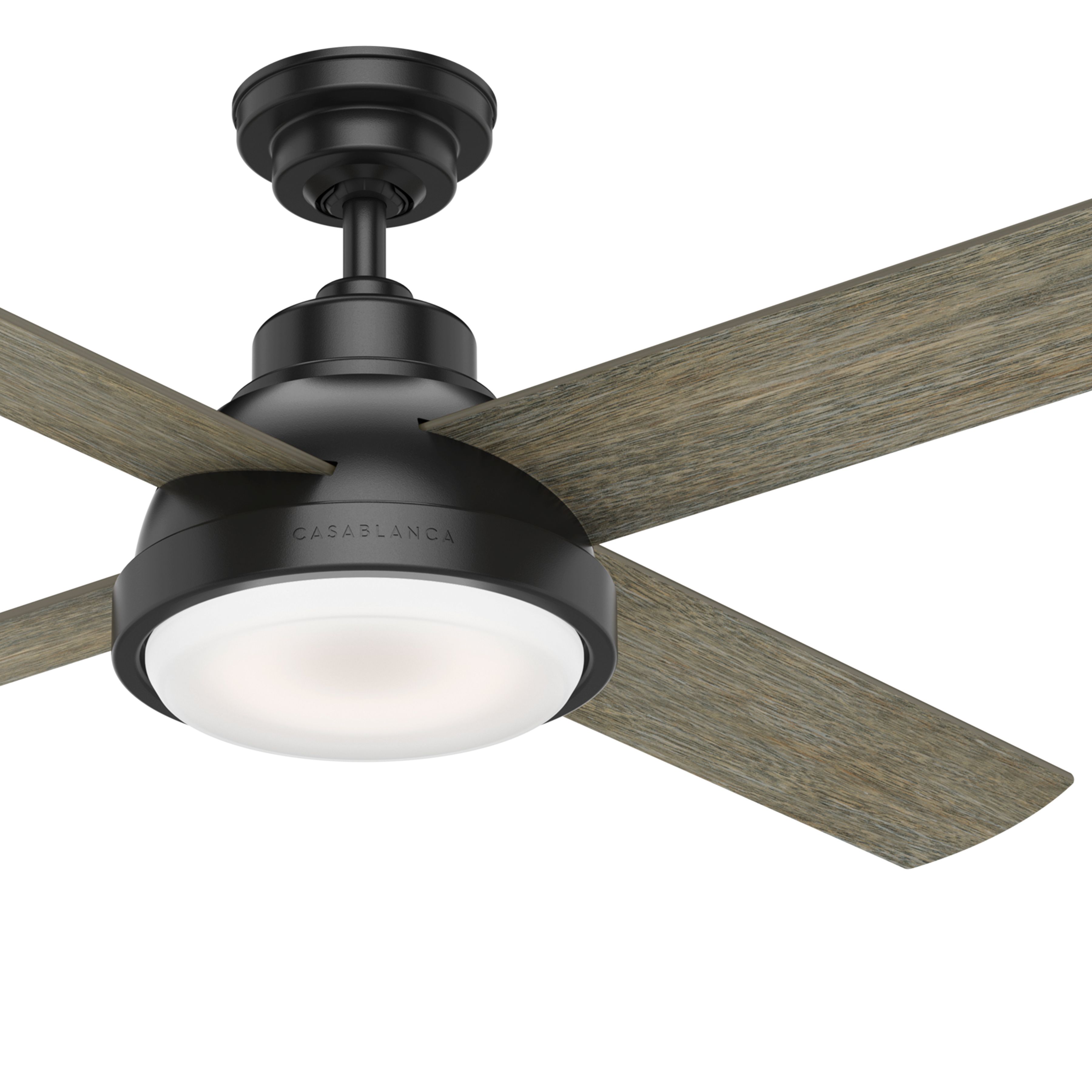 Casablanca Fan 54 inch Casual Matte Black Ceiling Fan with Light Kit and Remote Control (Renewed)