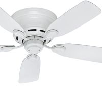 Hunter Fan 42