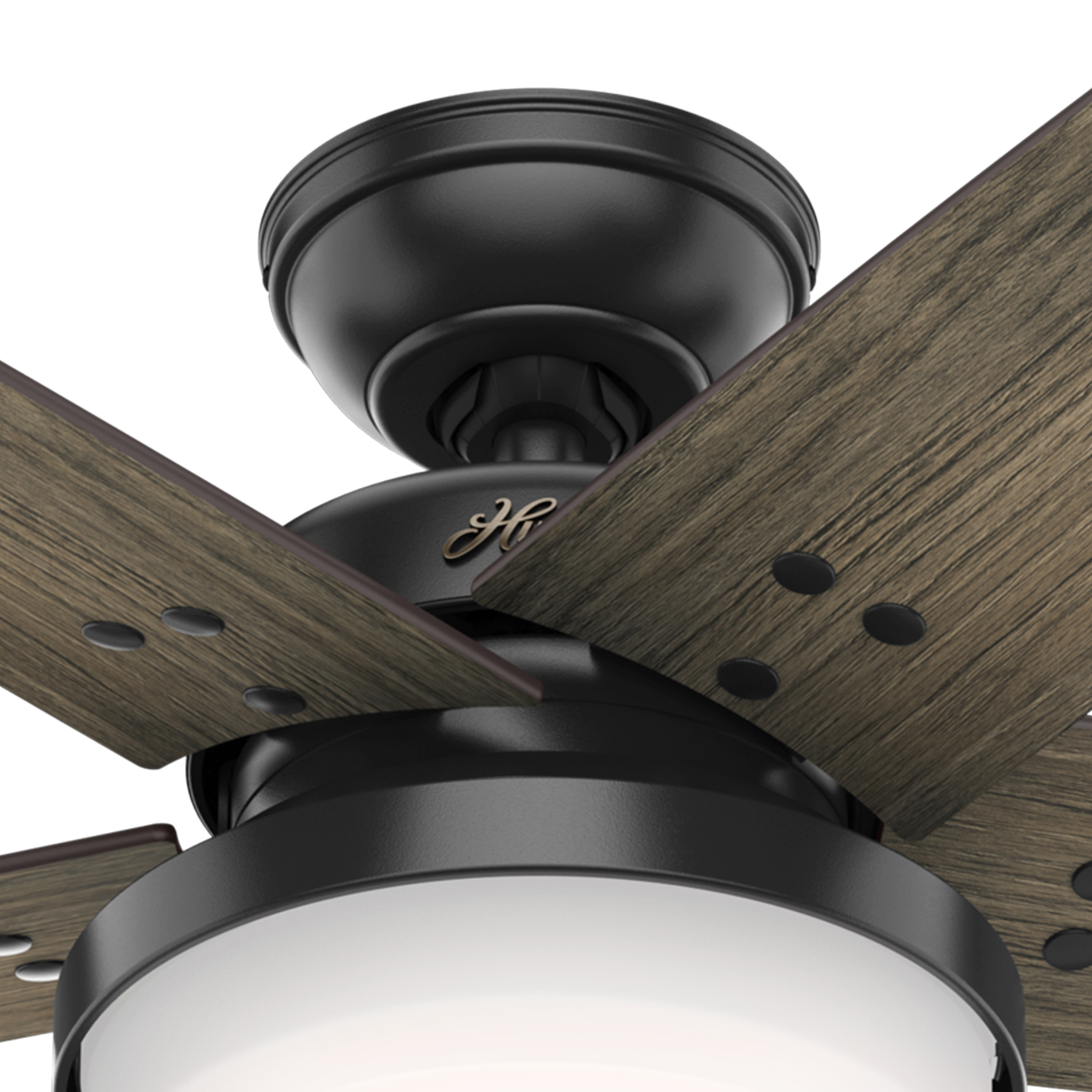 Hunter Fan 52 in Contemporary Matte Black Ceiling Fan with Light and Pull Chain 